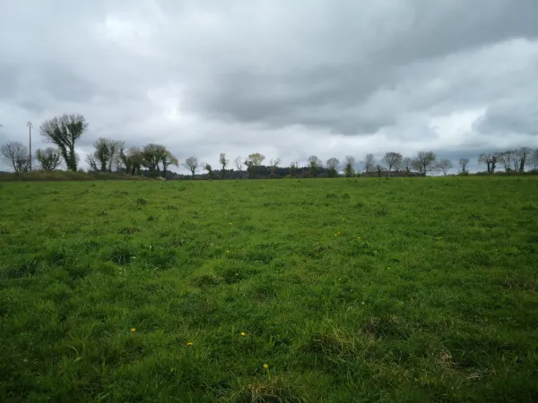 Proche du Château et de l'Étang de Corlay , ensemble en pierre de 200 m² sur 3.35 hectares