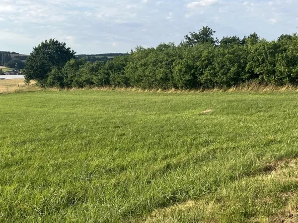 Terrain 599 m²