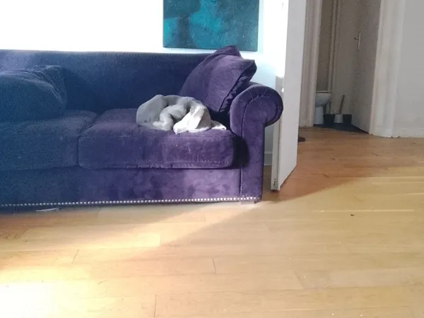 Loue appartement idéalement placé en meublé