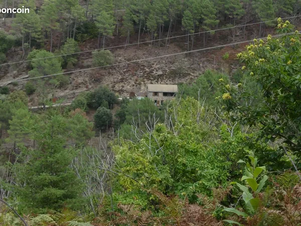 Maison Cévennes