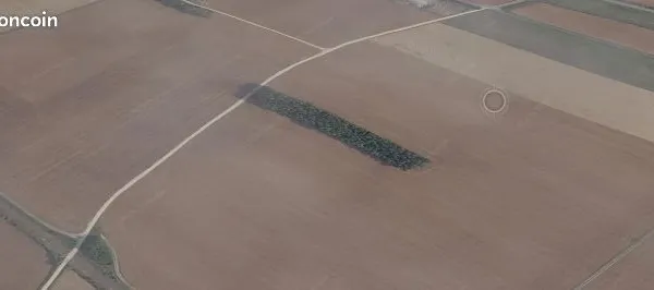 Bois forêt