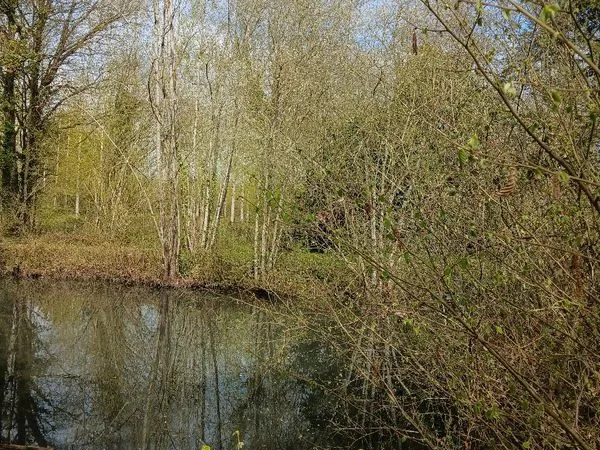 Terrain de loisirs