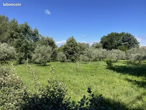 Terrain 606 m² Orange
