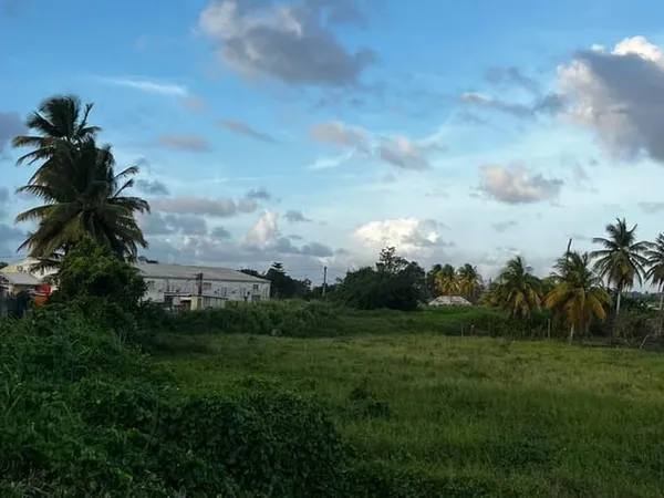 Terrain 1732 m²