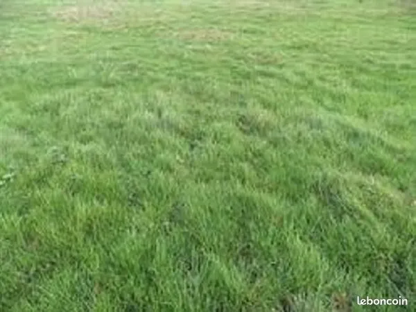 Terrain 1 153 m² Nanteau Sur Lunain