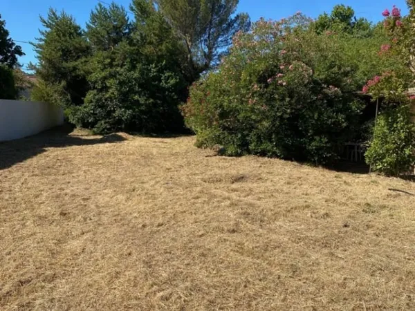 Terrain 300 m²