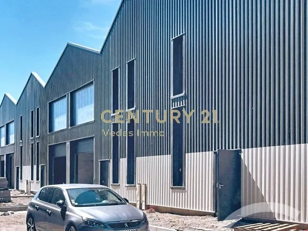 Local d'activité 1 pièce 244 m²
