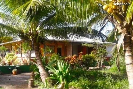 Colocation maison avec terrasse et jardin fleuri, arbres fruitiers proche Pôle Parents Enfants et no