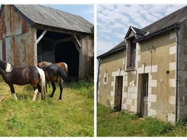 Maison en pierre avec grand terrain