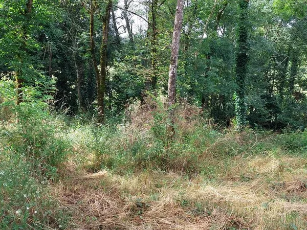 Terrain loisirs