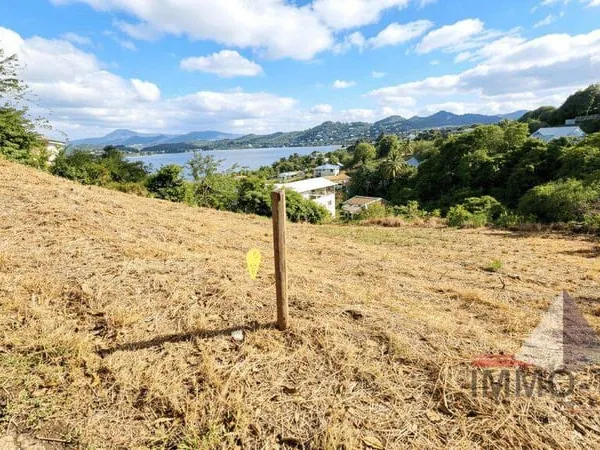 Terrain 3698 m²