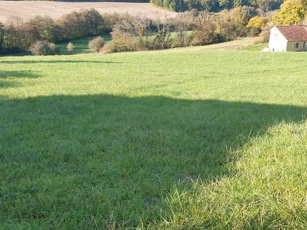 Terrain constructible