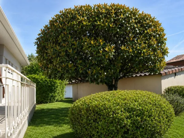 Lafrançaise, 82130 , Tarn et Garonne. Maison plain-pied 82 m², 5 Pièces , 3 chambres avec jardin pri