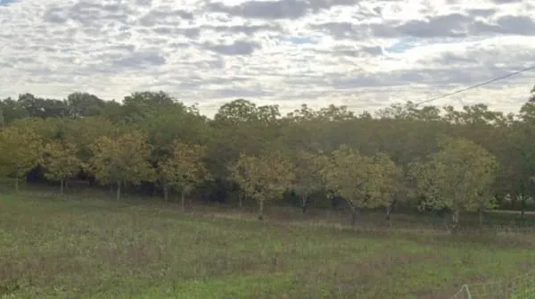 Terrain 5849 m²