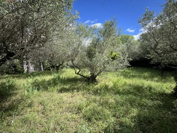 Terrain constructible 614 m²