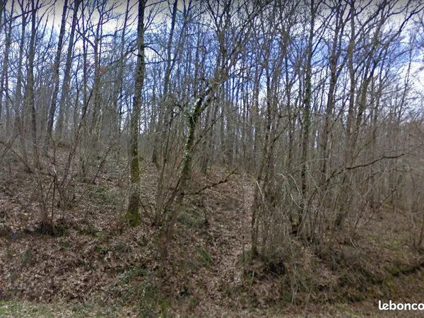 À VENDRE - Terrain boisé de 0,5 hectare