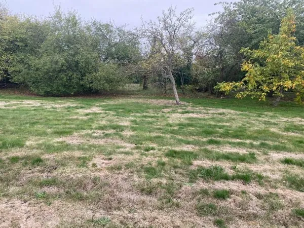 Terrain 563 m²