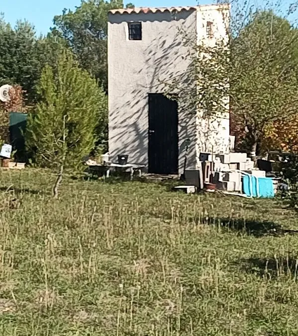 Photo 1