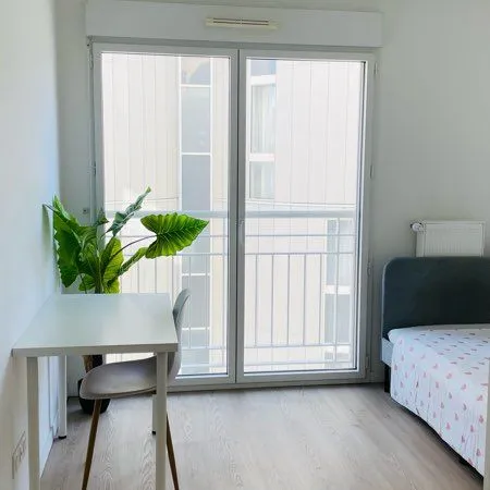 Colocation / chambre à louer