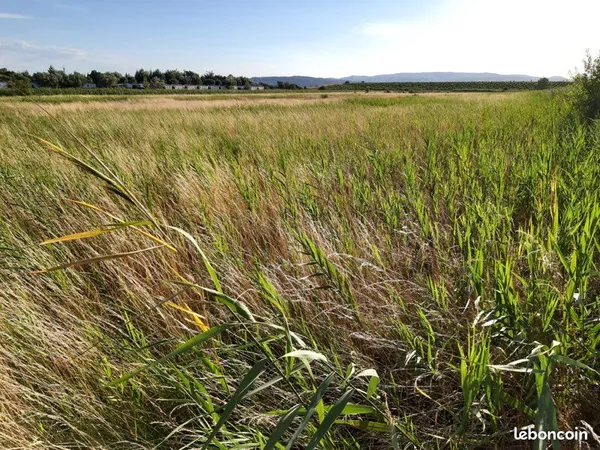 Terrain agricole