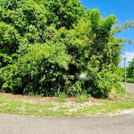 Terrain 1045 m² Moule
