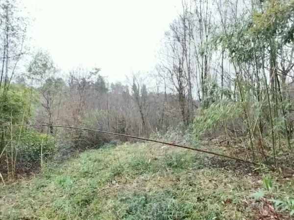 Terrain 1 400 m² à vendre à Boulazac (24750)