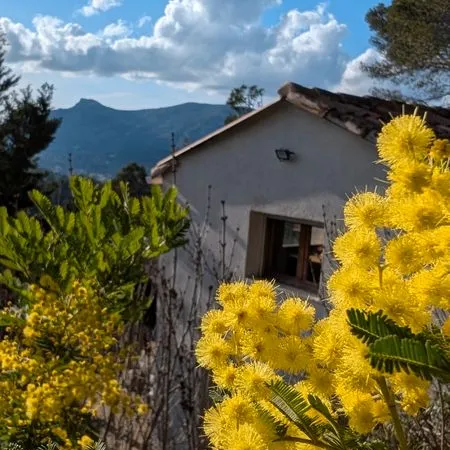 Logement atypique Vente Auriol 2p 20m² 190000€