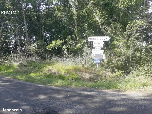6 parcelles boisées à Vaïssac (82)