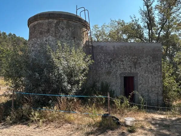 Terrain agricole avec ancien moulin