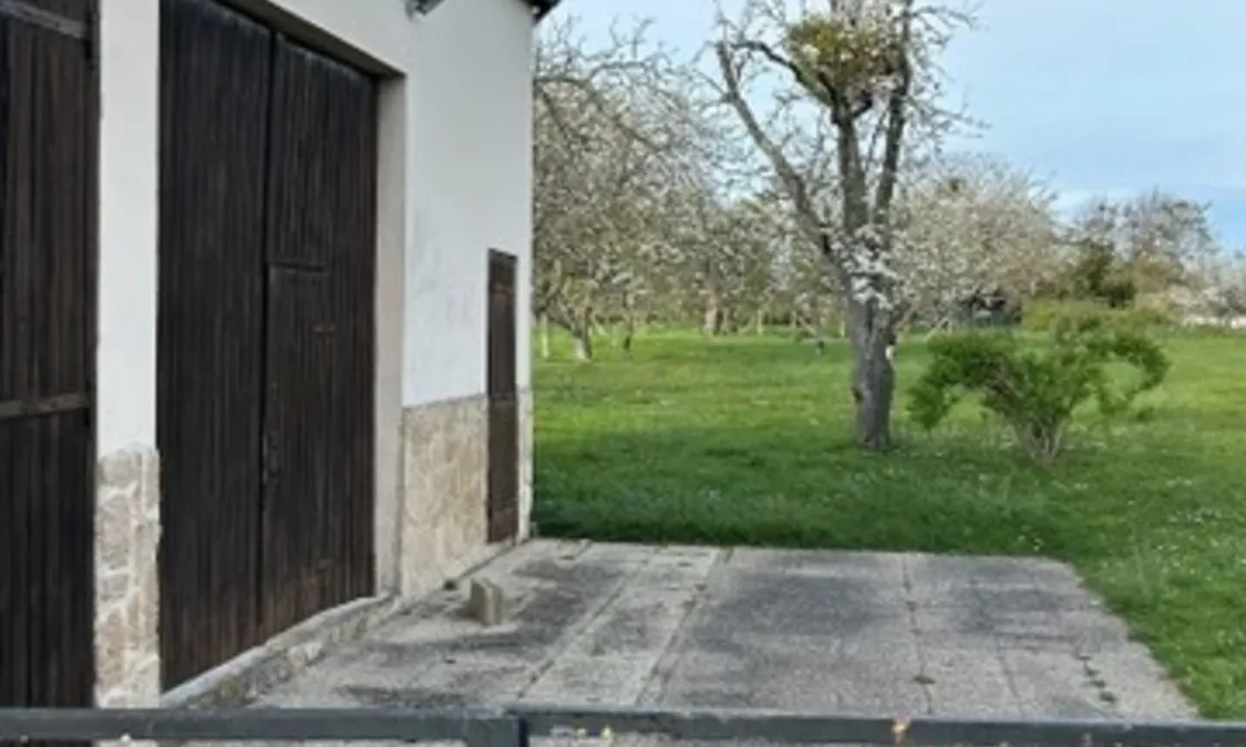 Photo 8