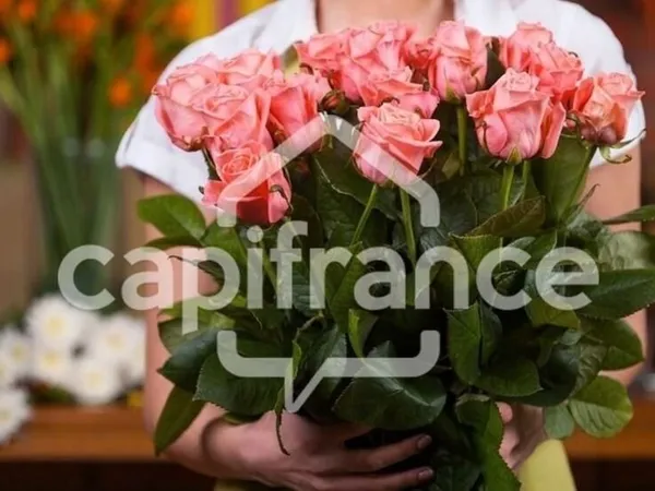 Fonds de commerce à vendre de fleuriste GUINGAMP (22)