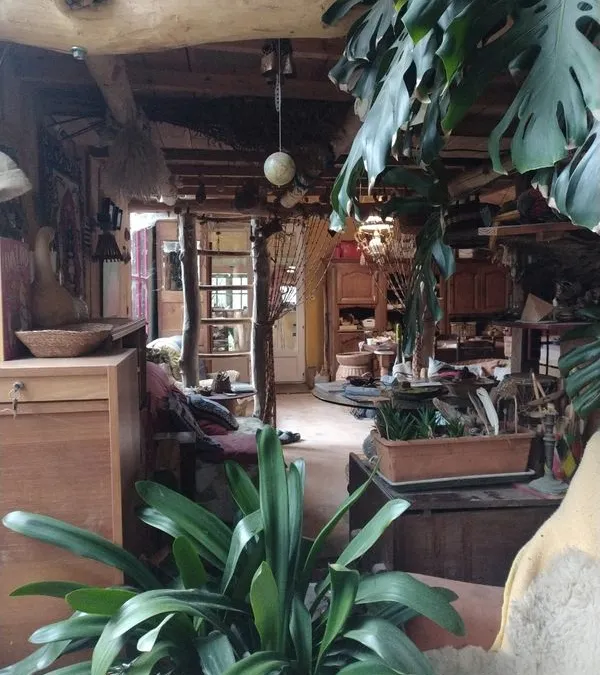 Photo 2