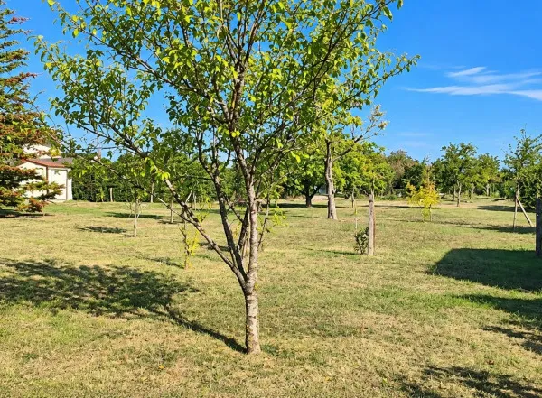 Terrain constructible 1563 m²
