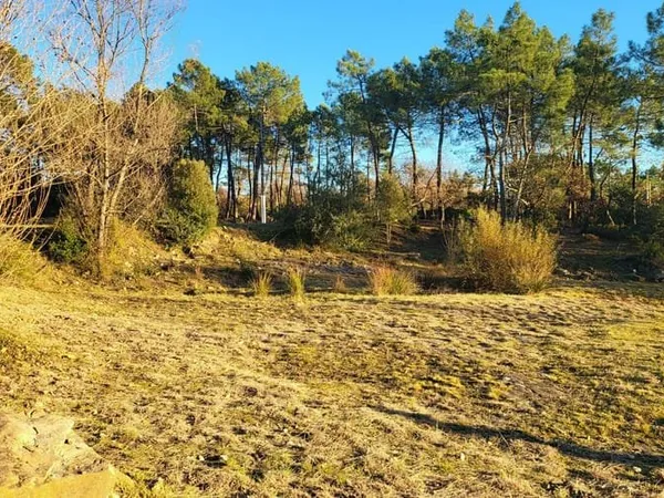 Terrain 1562 m²