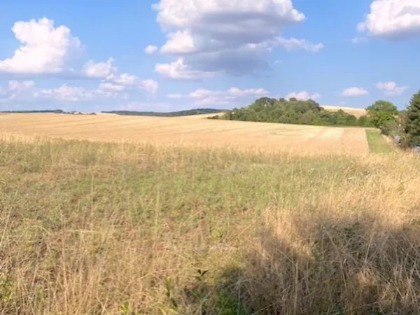 Terrain 1000 m²