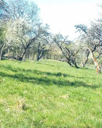 Terrain Vente Favières  3500m² 8000€