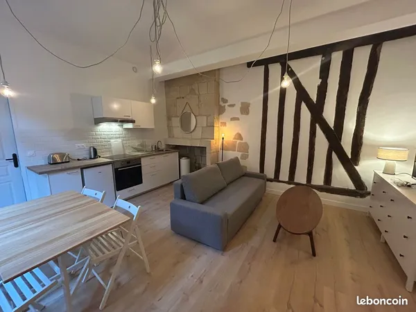 T2 refait neuf Terasse Hyper centre Magnifique Immeuble Ancien