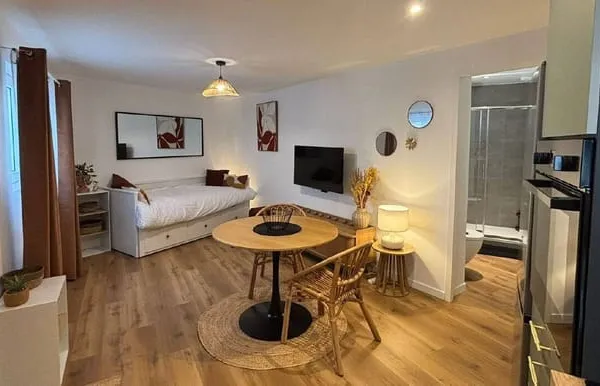 Appartement 1 pièce 17 m²
