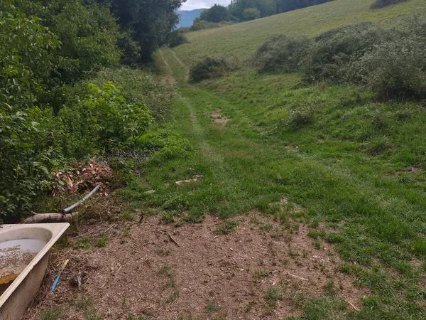 Terrain agricole +Bois