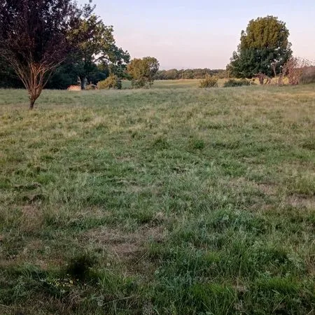 Terrain à bâtir