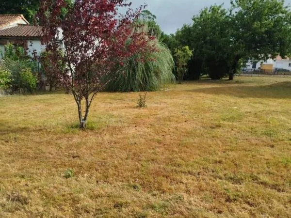 Terrain 516 m² / CORCOUE-SUR-LOGNE / 44650