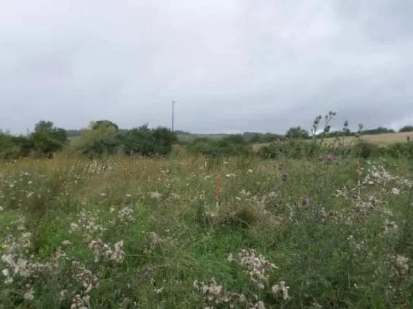 Terrain 931 m²
