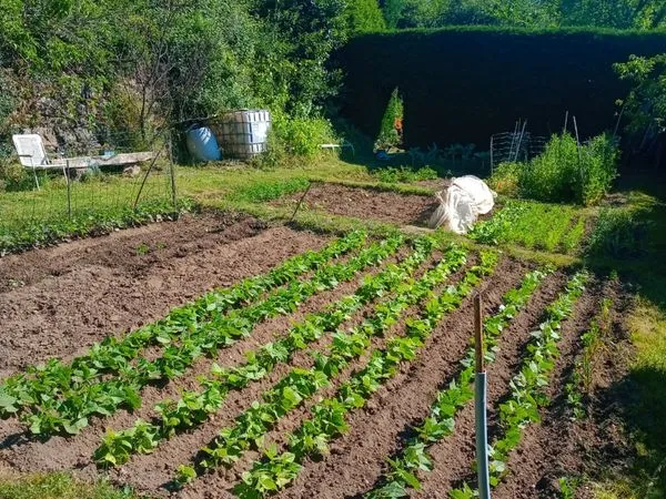Vend terrain agricole