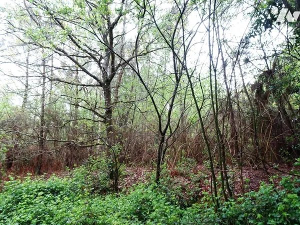 Terrain 12660 m²