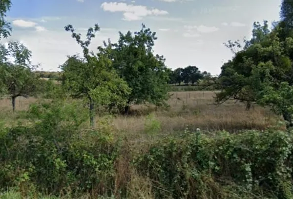 Terrain 2932 m²