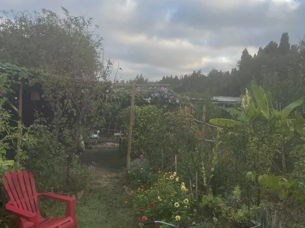 Jardin potager