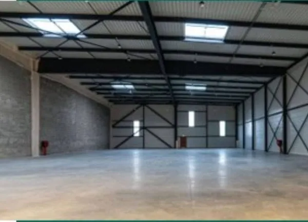 Local d'activité 1211 m²