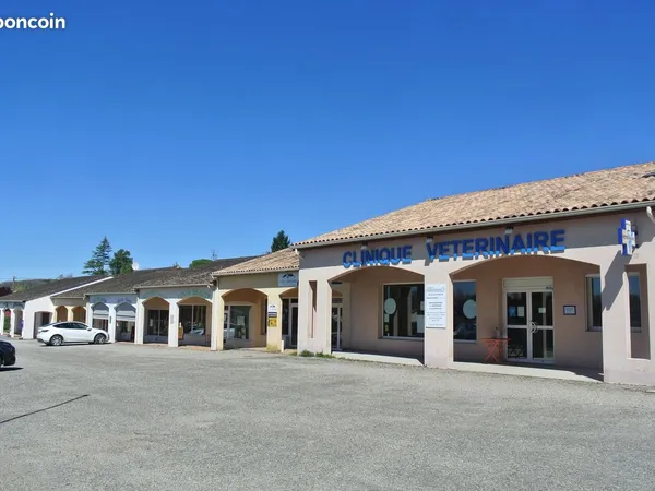 Local commercial avec parkings