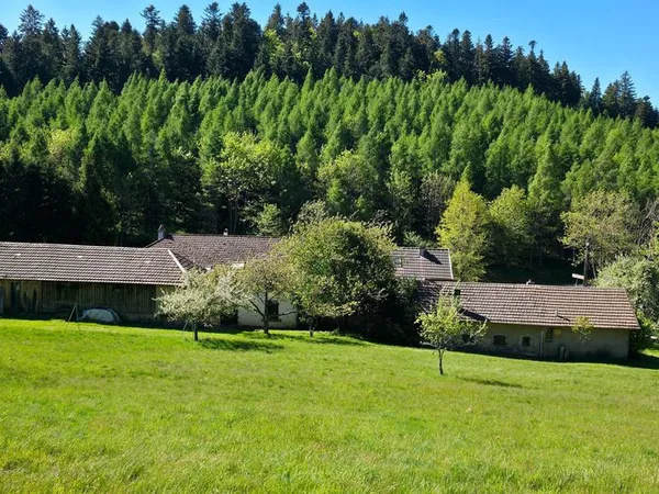 Propriété 7 pièces 180 m²