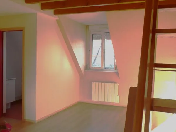 APPARTEMENT 1 pièce et MEZZANINE. QU. Victor Hugo